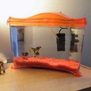 small tank.jpg