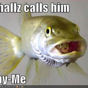 funny-pictures-fish-has-a-funny-name-for-another-fish.jpg