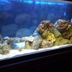 IMG_0178.jpg