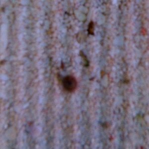 IMG_0197.JPG