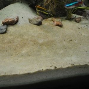 DSC_0572.JPG