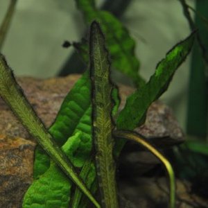 DSC_0570.JPG
