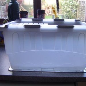 Handy Fish Carrier.jpg
