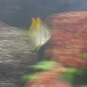 mono resize2.jpg