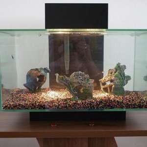 tank2.jpg