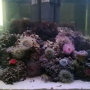 31082010330.jpg