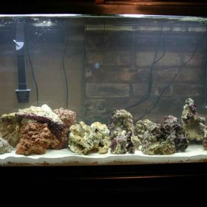 IMG_7966#2.jpg