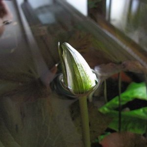 2010-10-31 16-58_ws.JPG