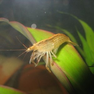 IMG_2690.JPG
