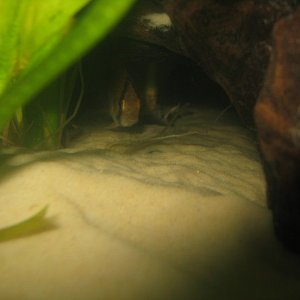 IMG_2689.JPG