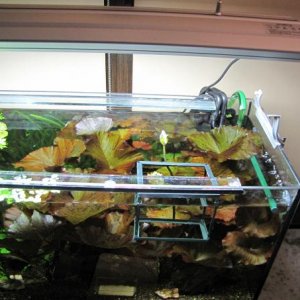 2010-11-03 19-47-52_acv.jpg
