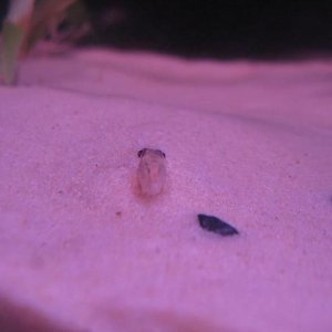 IMG_2731.jpg