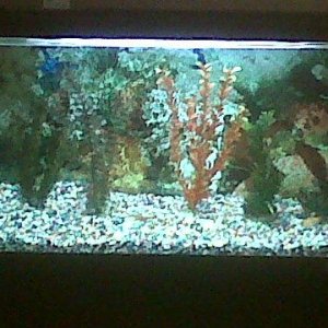 IMG00305-20101126-1943.jpg
