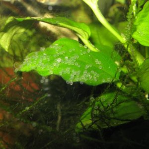 IMG_1350.JPG