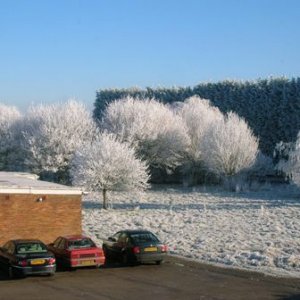Hard Frost 2.jpg