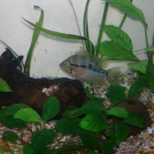 Mum and Fry 1.jpg