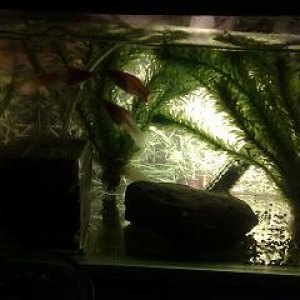 07012011061.jpg