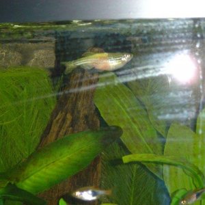 DSC00042 (2).jpg