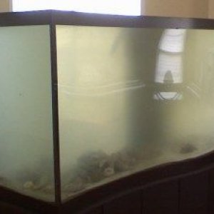 murkyaquarium.jpg