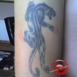 tattoo pics 009-400.jpg