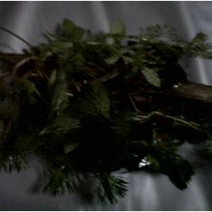 Picture11.jpg