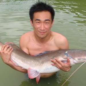 july2009_0056_Asian_red_tail_catfish_Jason.JPG