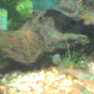 Apr02365.JPG