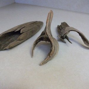 FISH PIECES.JPG