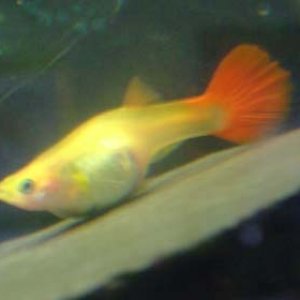DSCF8786.JPG