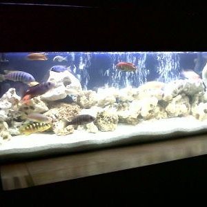 IMG00307-20110508-2109 1.jpg