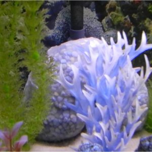bio filter rocks.jpg