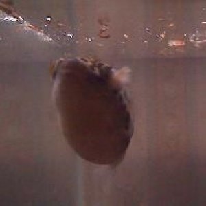 20110608153833.jpg