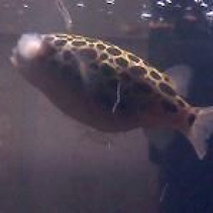 20110608153844.jpg