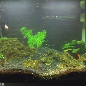 CameraZOOM-20110611180618.jpg