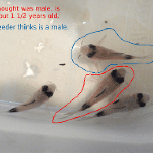 1st cory picture2.png