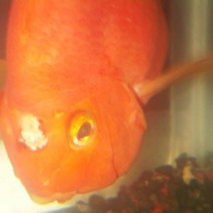 7-8-2011 10-59-27 PM.jpg