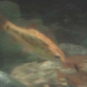 2011-07-09 19.11.42.jpg