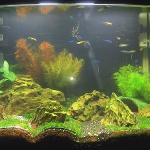 CameraZOOM-20110729194444.jpg