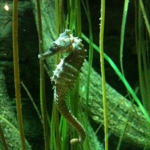 IMG_0815.jpg