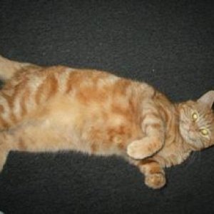 Pic 3.jpg