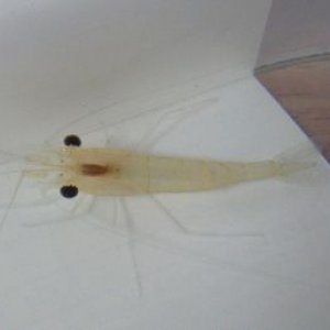 DSCF2283.JPG