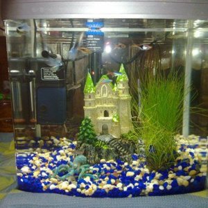 tank 1.jpg