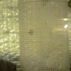 IMG_6475.JPG