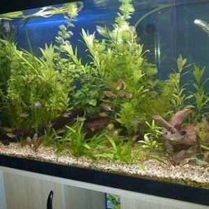 tank3.jpg
