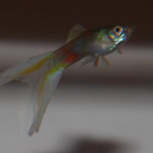 IMG_5468v2.jpg