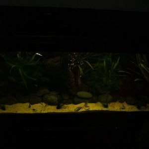 025 #1.jpg