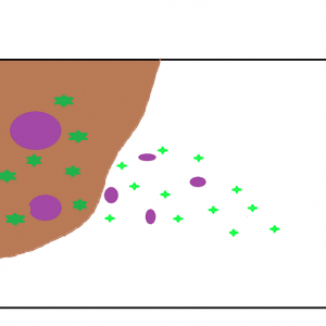 layout.png