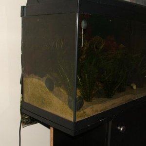 013 #1.jpg