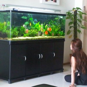 Tank 1.jpg
