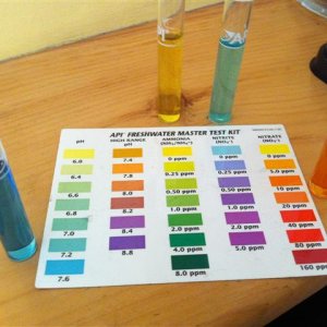 IMG_0123 (Small).JPG